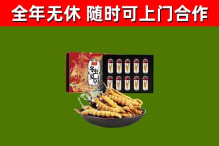 宣威市回收冬虫夏草价格