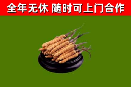 宣威市烟酒回收冬虫夏草.jpg